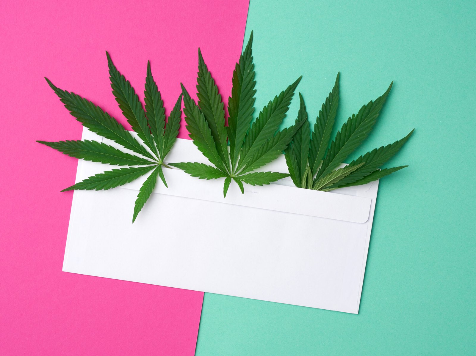 Can-I-Get-a-California-Medical-Marijuana-Card-Online-Without-a-Doctor-Visit-in-2025-scaled